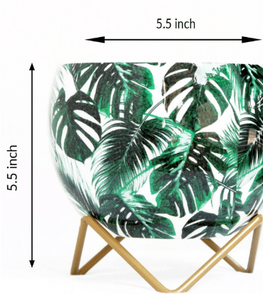 Monstera Deliciosa Leaves Metal Pot 5"