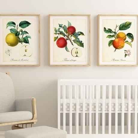 Fruit Art Wall Panels - photo