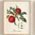 Fruit Art Wall Panels - top_view