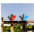 Handicraft Decorative Bird Wall Hanging (Set Of 2 Birds) - top_view