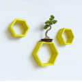 Kansai Wooden Wall Mount Shelves (Yellow) - rear_view