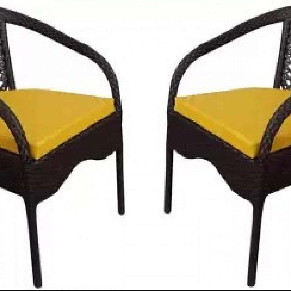 Patio Indoor/Outdoor Chair Set With Yellow Cushions (Set of 2) - photo