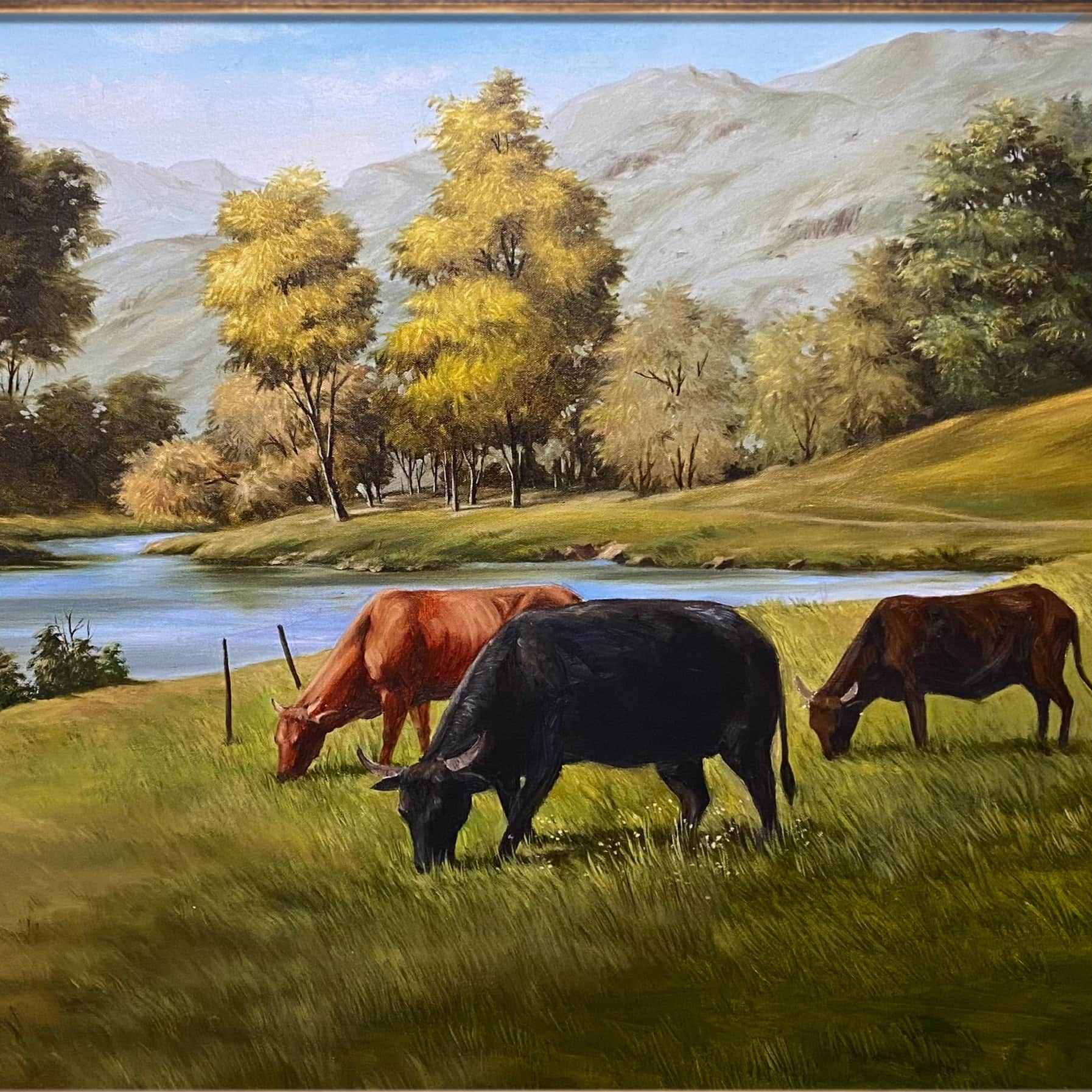 Water Meadow Landscape - top_view