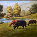 Water Meadow Landscape - top_view