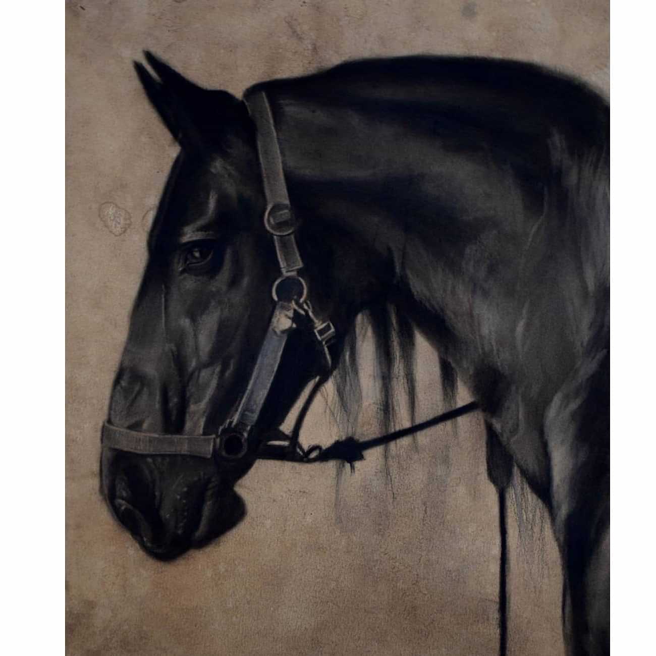 Silhouette Foals Horse Painting - photo