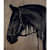 Silhouette Foals Horse Painting - front_view