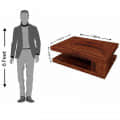 Sheesham Wood Modern Coffee Table In Honey Oak Finish - rear_view
