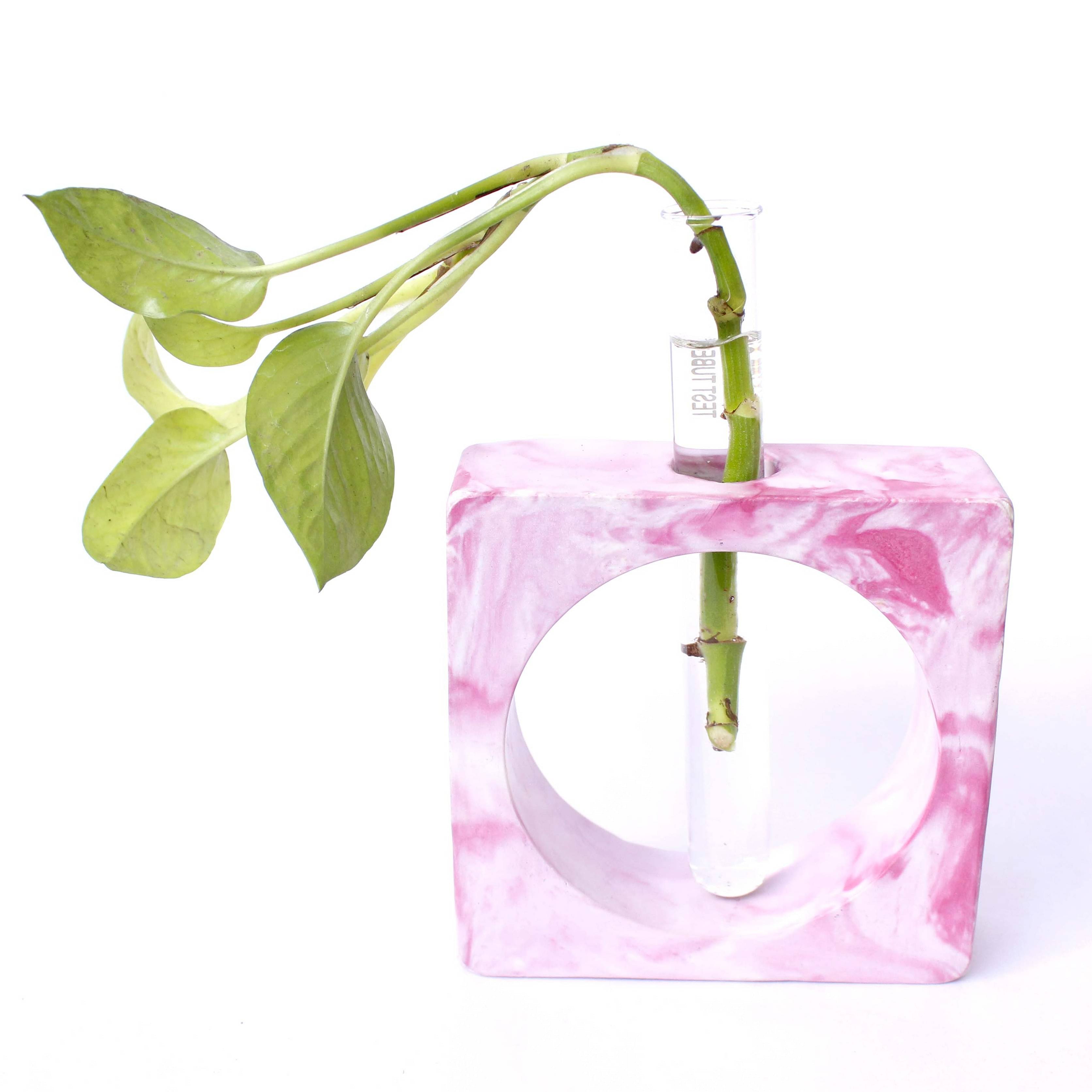 Flower Pot/VASE with Test Tube (Pink/White )
