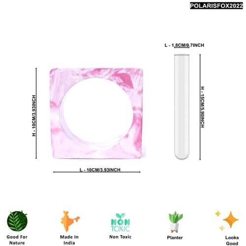 Flower Pot/VASE with Test Tube (Pink/White )