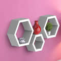 Annecy Wall Mount Floating Shelf In Hexagon Shape (Set of 3) - rear_view