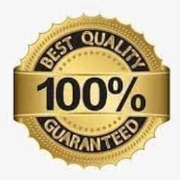 Collectible Designer Handle Walking Stick