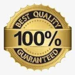 Jaguar Handle Wood Walking Stick