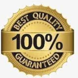 Swan Head Brass Walking Stick Handle (only Handle)