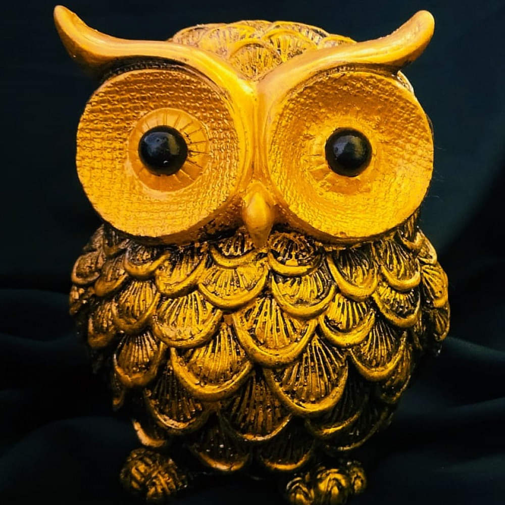 Owl Statue - photo