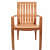 Plastic Outdoor/Indoor Chair (glossy finish) - photo