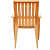 Plastic Outdoor/Indoor Chair (glossy finish) - rear_view