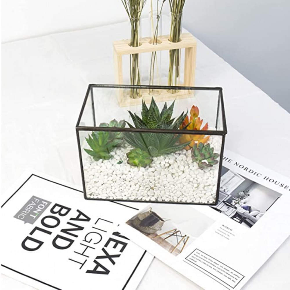 Black Frame Plant Terrarium - photo
