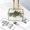 Black Frame Plant Terrarium - photo
