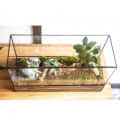 Black Frame Plant Terrarium - top_view