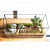 Black Frame Plant Terrarium - top_view