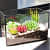 Black Frame Plant Terrarium - rear_view