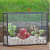 Black Frame Plant Terrarium - right_view