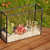 Black Frame Plant Terrarium - bottom_view