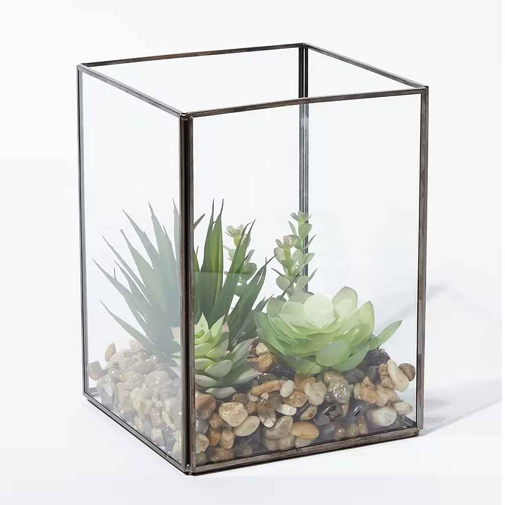 Glass Terrarium Antique Black Box Moonstone - photo