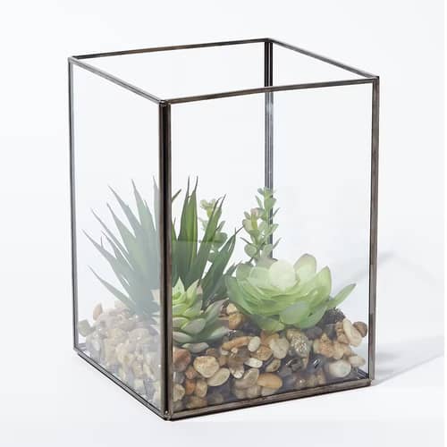 Glass Terrarium Antique Black Box Moonstone