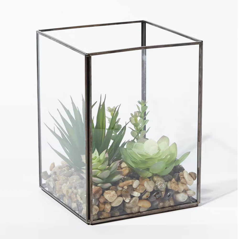 Glass Terrarium Antique Black Box Moonstone - photo