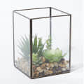 Glass Terrarium Antique Black Box Moonstone - photo