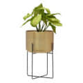 Gold Aluminium Planter Pot with Stand for Home Decor - photo