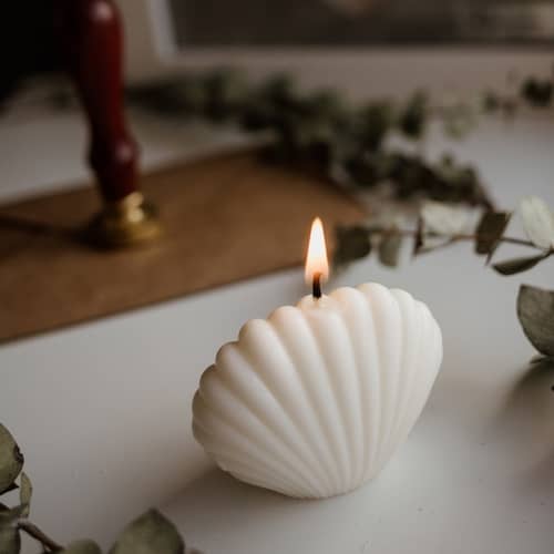Shell Shape Candle White in Color