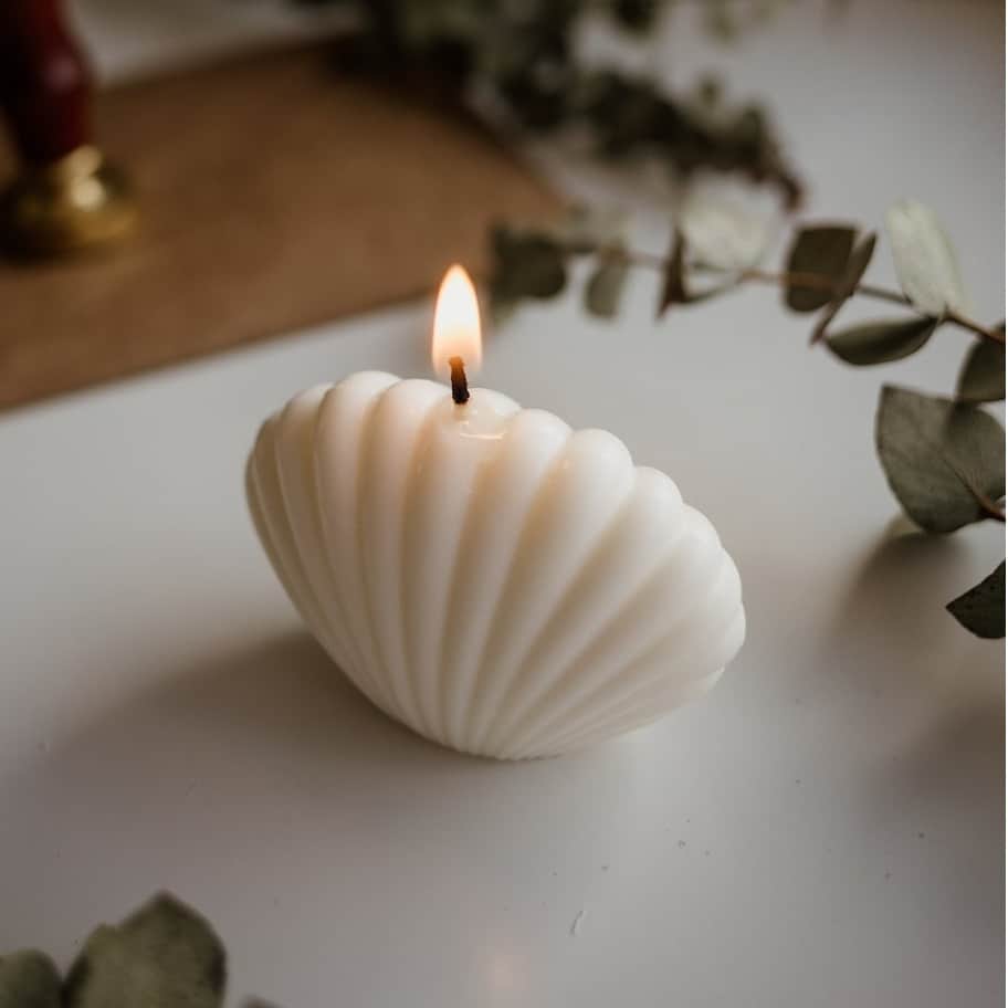 Shell Shape Candle White in Color - top_view