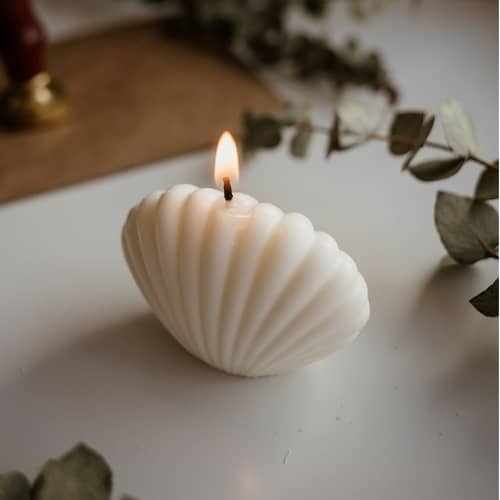 Shell Shape Candle White in Color