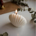 Shell Shape Candle White in Color - top_view