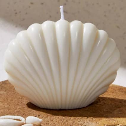 Shell Shape Candle White in Color