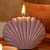 Shell Shape Fragrance Candle Natural and Biodegradable Soya Wax - front_view