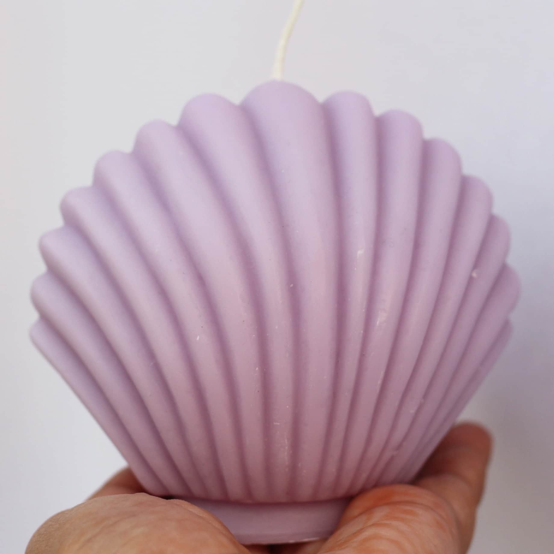 Shell Shape Fragrance Candle Natural and Biodegradable Soya Wax - top_view