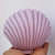 Shell Shape Fragrance Candle Natural and Biodegradable Soya Wax - top_view
