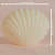 Shell Shape Candle Multicolor - rear_view