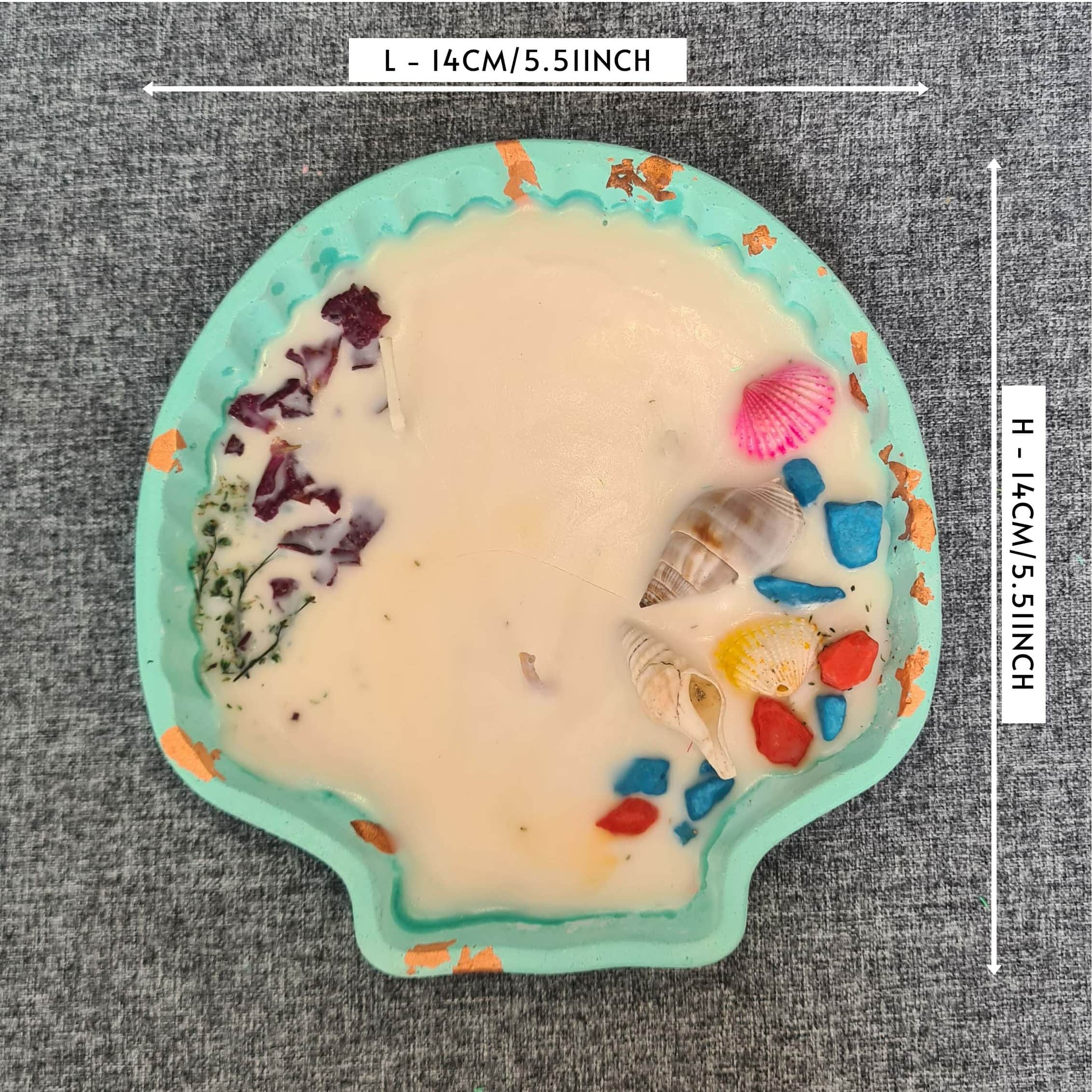Handmade Shell Tray Candle | SOYA Wax |120GM - rear_view