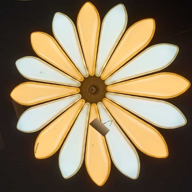 Brighton Dual Color Flower Wall Light - photo
