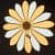 Brighton Dual Color Flower Wall Light - photo
