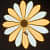 Brighton Dual Color Flower Wall Light - top_view