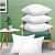 Premium Fibre Soft Filler Cushion Set Of 5 - right_view