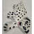 Sitting Dog Handmade Rug/Carpet - right_view