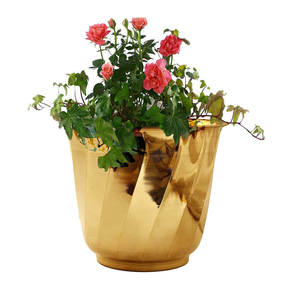 Pure Brass Lining Design Planter - photo
