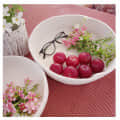 Cotton Fruit Plate (set of 2) - photo