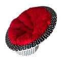 Outdoor Basket Chair With Red Cushions - photo